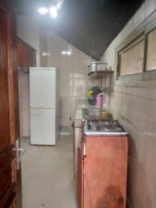 杜阿拉Grace and favour guest house的厨房配有冰箱和炉灶。