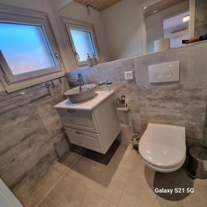 维尔德斯韦尔Mountain - Lake Apartment 3的浴室配有白色卫生间和盥洗盆。