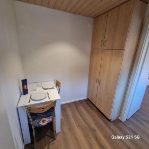 维尔德斯韦尔Mountain - Lake Apartment 3的小房间设有桌子和橱柜