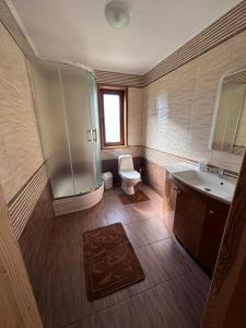 斯维季亚济Сієста的带淋浴、卫生间和盥洗盆的浴室