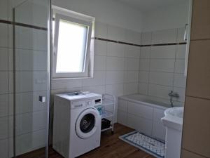 圣卡尼兹Appartement Lindenheim的一间带洗衣机和水槽的浴室