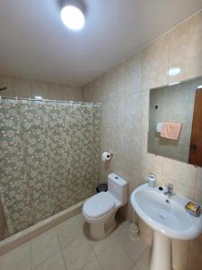 利马Habitación con baño propio para 2 personas como máximo的浴室配有卫生间、盥洗盆和淋浴。