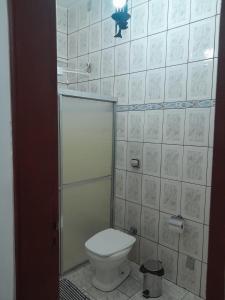 蒂拉登特斯POUSADA PARLATORIUM的一间带卫生间和淋浴间的浴室
