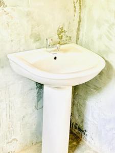 GalgeLIFE OF COCO的浴室角落的白色水槽