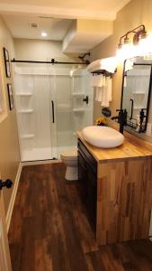 亚特兰大Wolf Creek Lodge的一间带水槽、卫生间和淋浴的浴室