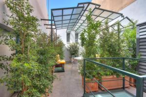 卡利亚里Right House - Indipendent in Characteristic Marina District的一座种植了植物的室内花园