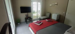 Cadenazzo33的一间卧室配有一张红色的床、椅子和电视
