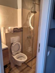 奥内什蒂Studio Home的一间带卫生间和玻璃淋浴间的浴室