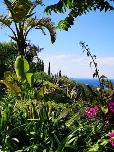 圣米克尔德巴兰堪帕拉戴尔农场酒店的花园内种有鲜花,大海背景