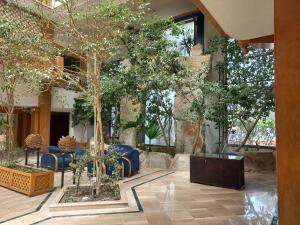 哈马马特Tunisia Lodge的大楼里带树木和椅子的大堂