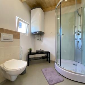 SloupChata Pod kaplí的带淋浴、卫生间和盥洗盆的浴室