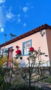 蒂拉登特斯Pouso de Santana的前面有红花的房子