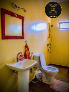 萨利波图尔MAISON FLORAL的一间带水槽、卫生间和镜子的浴室