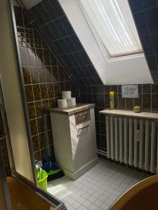 弗洛托Ferienwohnung Andreea的厨房设有带天窗的小厨房。