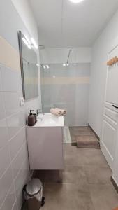 利布尔讷Le green parc, Libourne Hypercentre, Netflix, Clim的白色的浴室设有水槽和镜子
