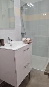 利布尔讷Le green parc, Libourne Hypercentre, Netflix, Clim的白色的浴室设有水槽和淋浴。