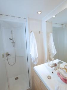 奥雷龙圣但尼ULVF Les Beaupins的带淋浴和白色盥洗盆的浴室