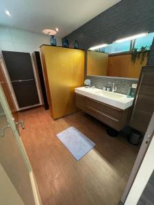 法尔肯堡Casa Verde Valkenburg的一间带水槽和大镜子的浴室