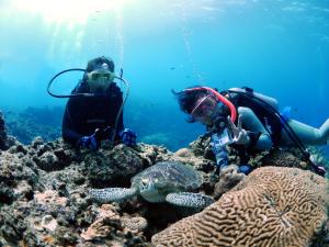 宜野湾市诺亚酒店的两个在海洋里看着珊瑚礁的人