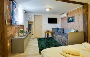 Amazing Home In Sedlarica With Sauna的客厅配有床和沙发