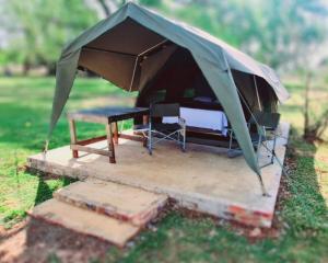 波切夫斯特鲁姆TangleWood Nature Estate的田野上带桌椅的帐篷