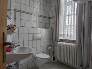 希莱斯海姆Zum Amtsrichter的一间带卫生间和水槽的浴室