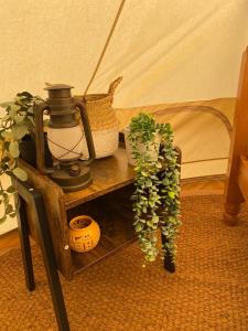 剑桥Fen meadows glamping - Luxury cabins and Bell tents的一张桌子上放着一盏灯和一棵盆植物