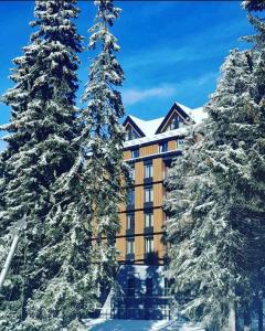 科帕奥尼克Woodside Apartment的前面有雪覆盖的树木的酒店