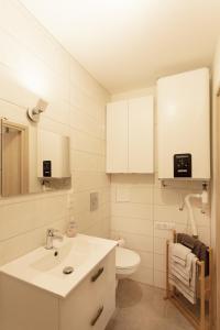 Saint-Paul-de-VaraxLogement équipé的白色的浴室设有水槽和卫生间。