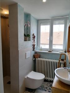 科尔马Ravissante petite suite的一间带卫生间、水槽和窗户的浴室