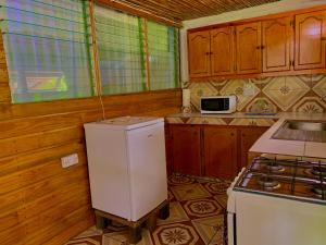 罗索Le Petit Paradis的一间带冰箱和炉灶的小厨房