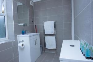 伦敦Evergreen Apartments-Flat 4, London的一间带水槽、卫生间和镜子的浴室
