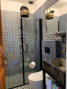特拉维夫Central, Authentic and Stylish Old Yafo Experience的带淋浴、卫生间和盥洗盆的浴室