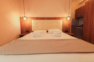 奥林匹亚基·阿克蒂ELYSIUM - villa majken的一间卧室配有一张大床和两条毛巾