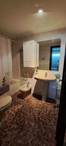 甘迪亚海滩Tropicana park Gandia的浴室配有卫生间、盥洗盆和浴缸。