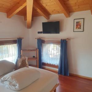 加尔达湖滨GARDAINN La CASCINA的一间卧室配有一张床和一台平面电视