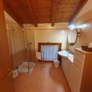 加尔达湖滨GARDAINN La CASCINA的带淋浴卫生间和盥洗盆的浴室