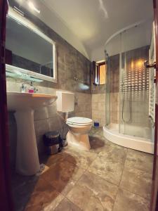 欧巴西亚洛德洛伊Pensiunea Vanatorul的浴室配有卫生间、盥洗盆和淋浴。