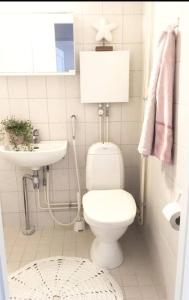 坦佩雷Tilava ydinkeskustakaksio ilmaisella autopaikalla的白色的浴室设有卫生间和水槽。