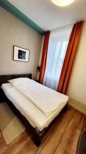 卢加诺裴斯泰洛卢加诺酒店的一张位于带大窗户的房间内的床铺