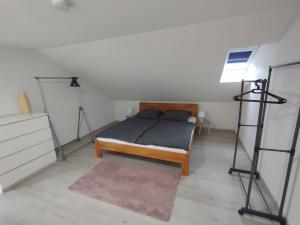 乌尔丁根-米赫尔霍芬Ferienwohnung Down Under am Bodensee的一间带一张床铺的卧室,位于带三脚架的房间