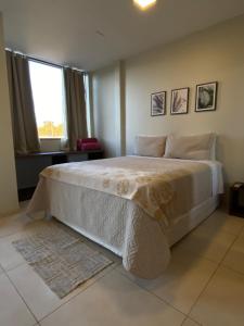 戈亚斯州上帕莱索Delú Residences的卧室配有一张大白色床和窗户