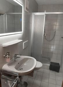 比希尔巴赫Landhaus Bichlbach的白色的浴室设有水槽和淋浴。