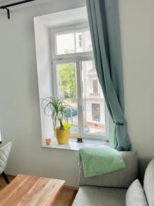 莱比锡Cozy, zentrumsnahe 2-Raumwohnung的窗台上摆着盆栽的窗户