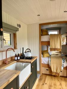 LlanelltydCwtch Cader Shepherds Hut的一间带水槽和一张双层床的厨房