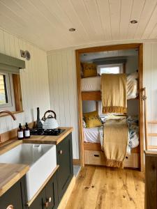 LlanelltydCwtch Cader Shepherds Hut的一间带水槽和一张双层床的厨房