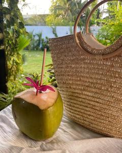 图杜chillax Thoddoo的一只椰子,在包边用棍子