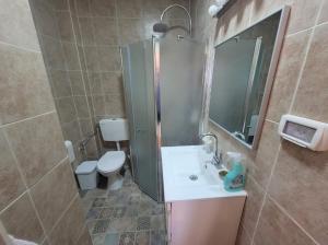 马阿洛特塔施哈הבית באשכולות的带淋浴、盥洗盆和卫生间的浴室