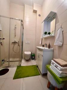 别拉什尼察Srna Apartment - Bjelašnica的带淋浴、盥洗盆和卫生间的浴室