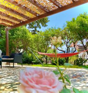 阿纳维索斯Villa Naya by the Beach的天井上的吊床,配有桌子和花